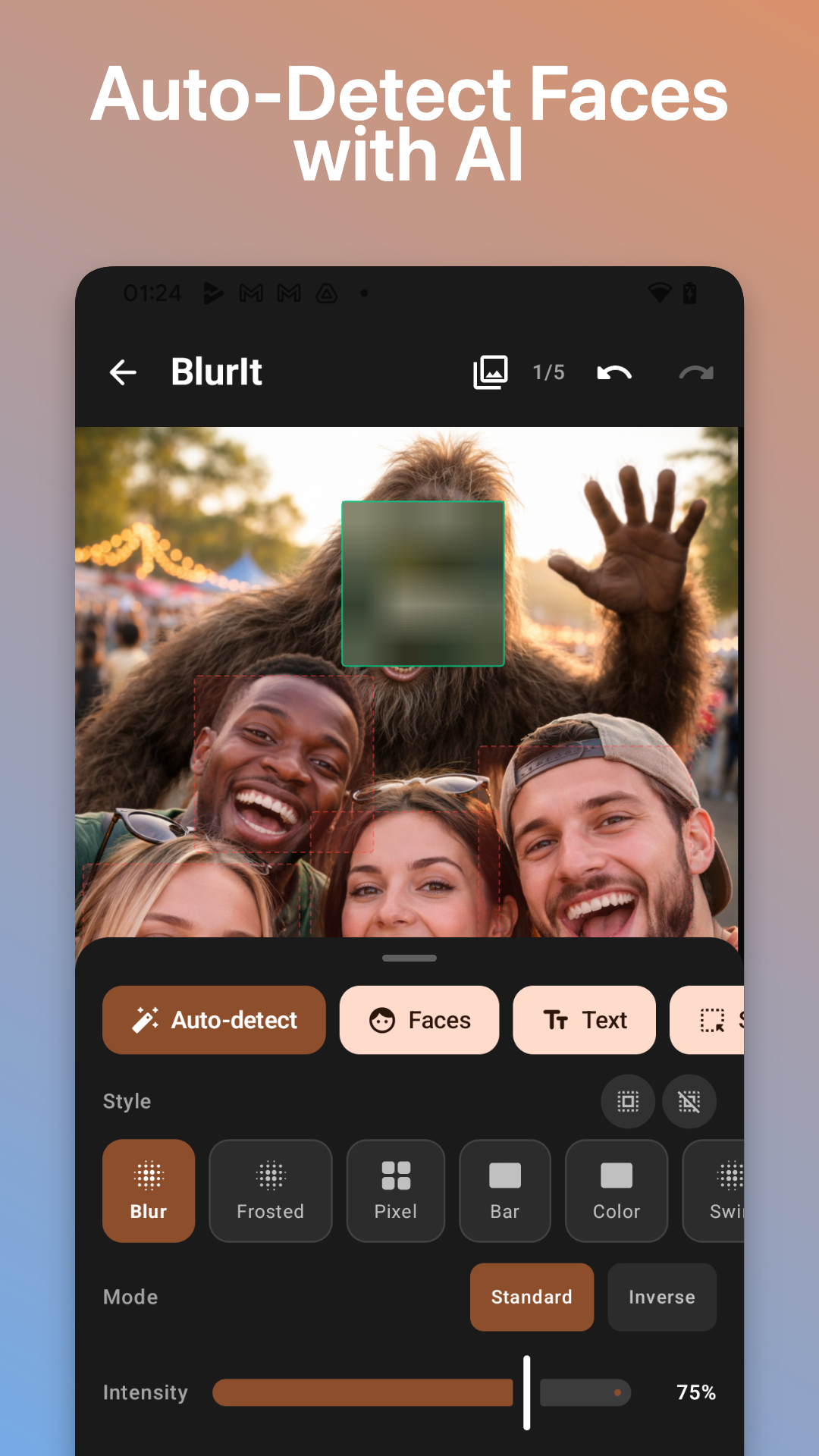 License plate automatically detected and blurred